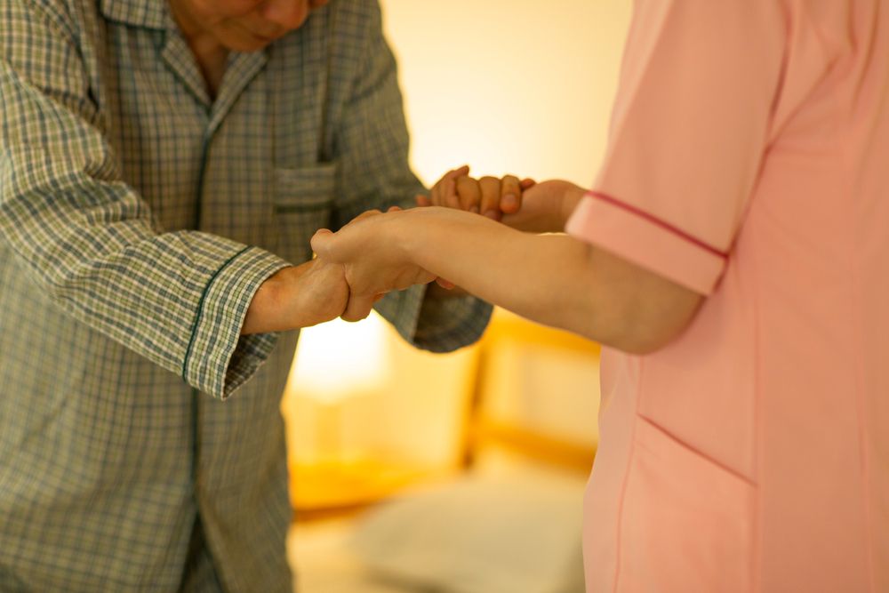 Night-Shift Elderly Companions: Provide Non-Medical Support for Seniors