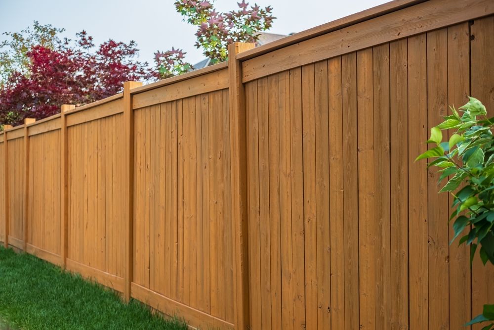 How to Select the Optimal Garden Fence for Your Needs