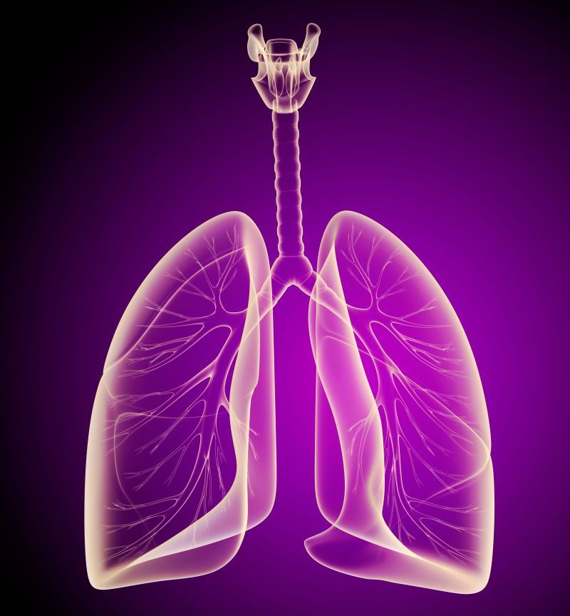 Early Detection and Treatment of Lung Cancer: Key Insights